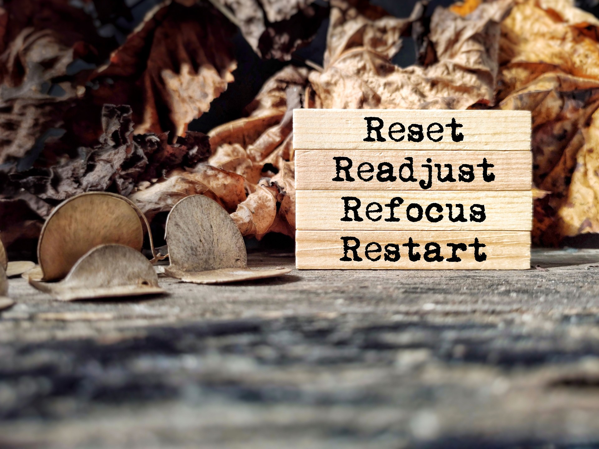 reset readjust refocus restart